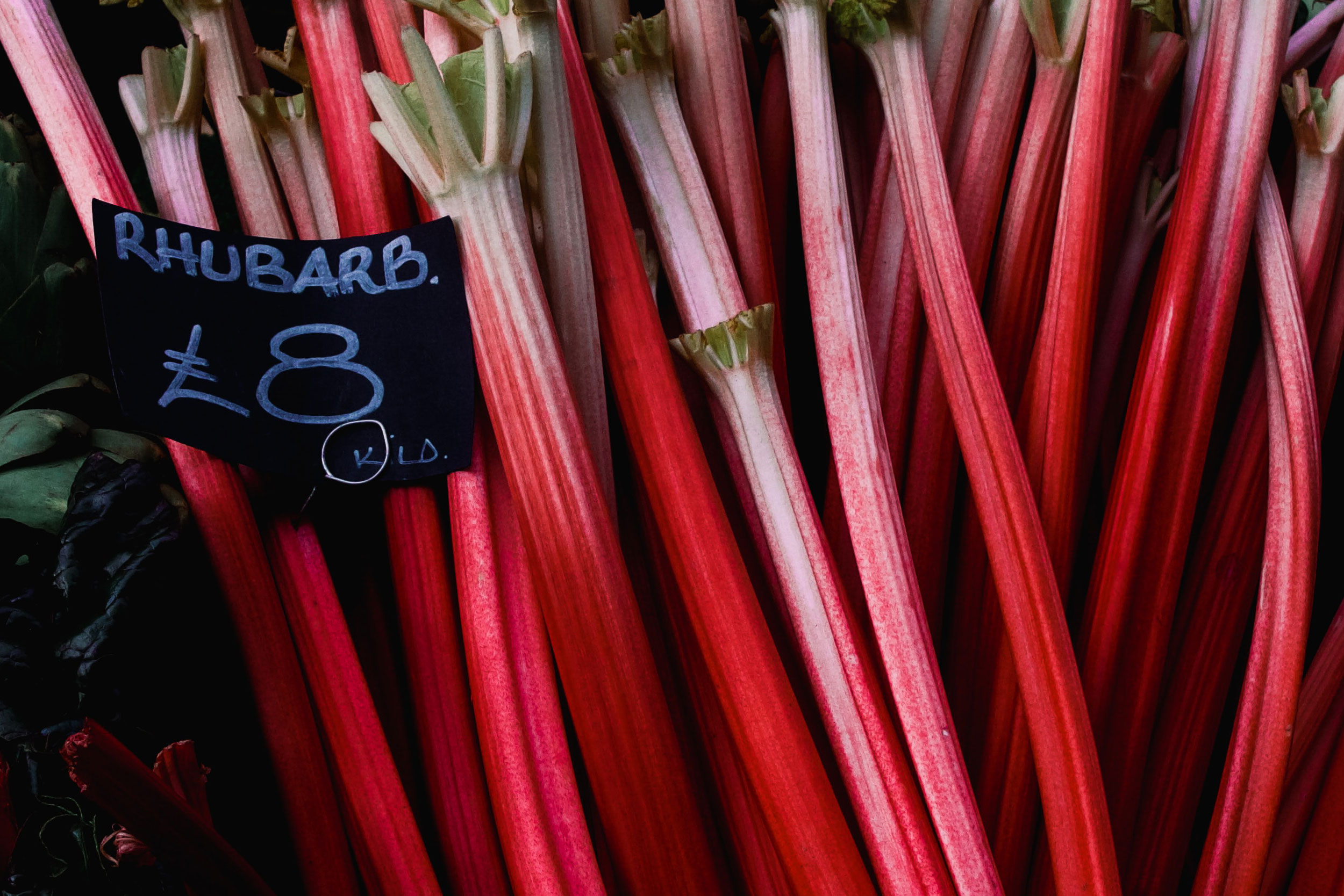 rhubarb